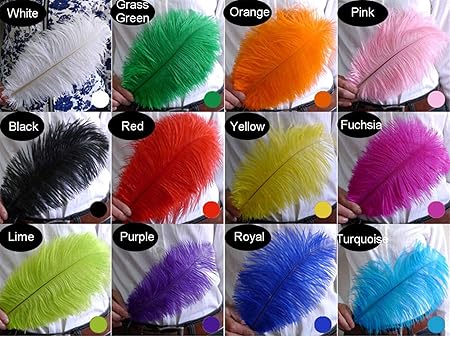 Selene Lot De 10 Plumes D Autruche Pompons A Faire Soi Meme