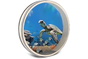 EASTROCK 10 Inch Wave Bead Ocean Drum Sea Sound Drum with Hardwood Shell Sound Healing Instruments Natural Color Musical Instrument Ocean Percussion for Meditation Relaxation