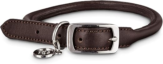 amazon rolled leather dog collar
