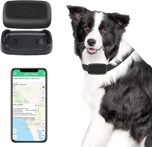 tatty teddy sweet dreams