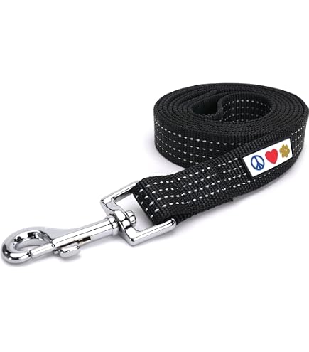 【新品】【送料込み】Omnipet 本革リード 6f Amazon.com : OmniPet Leather Brothers 6-Feet x 1-Inch Nylon Dog
