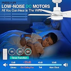 Regair Small Ceiling Fan With Light 32 Inch, Remote