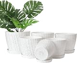 CSYY 6-Pack Plant Pots Indoor Outdoor Self Watering Tray view 8