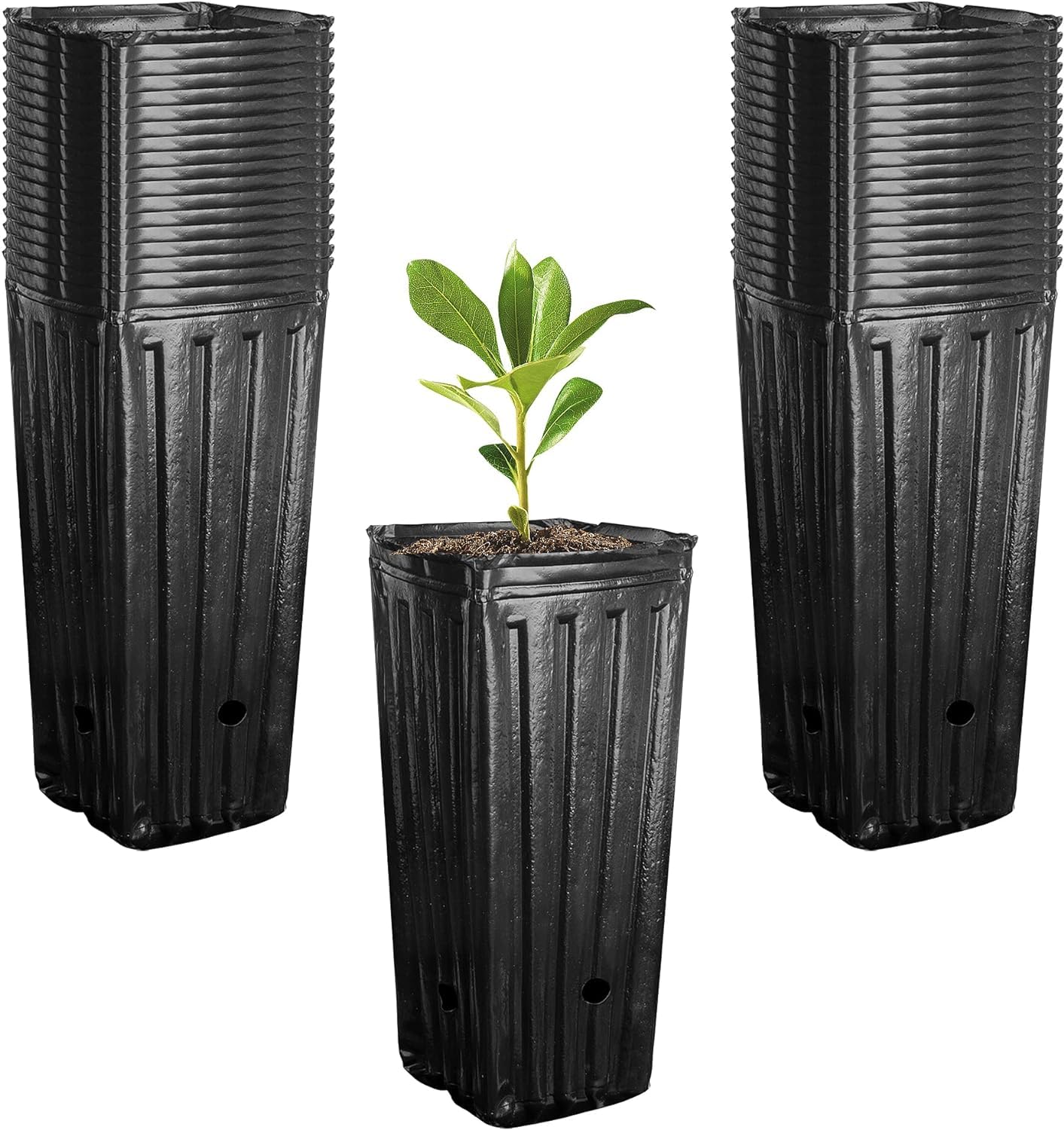50Pcs Tall Tree Pots - Plastic Deep Nursery Treepots -24cm Tall Seedling Flower Plant Container Pots for Indoor Outdoor Garden Plants