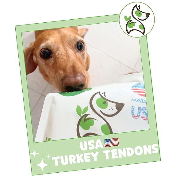 NATURE GNAWS USA TURKEY TENDONS FOR DOGS (4OZ) – DELICIOUS GRAIN FREE REWARD SNACK FOR SMALL, MEDIUM & LARGE BREEDS – PREMIUM NATURAL DOG CHEW TREATS