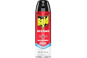 Raid Ant & Roach Killer Spray For Listed Bugs, Keeps Killing for Weeks, Fresh Scent, 17.5 oz