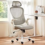 Sweetcrispy High-Back Mesh Home Office Chair with