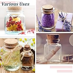 CRASPIRE 12Pcs Small Glass Bottles with Cork