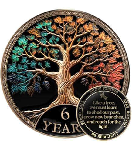 1 Year Alcoholics Anonymous Medallion Black Silver Plated AA Sobriety Chip Coin - Foto 4