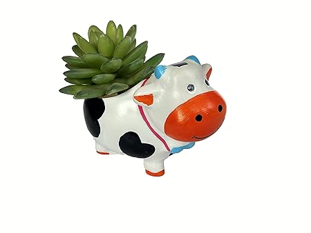 Homesutraa Small|Mini 5