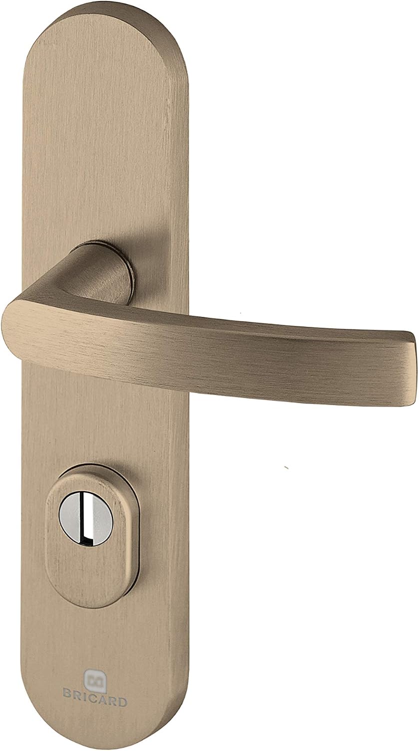 Bricard 9900191 Set of Armoured Handles on Essential Plate and Kickstand for Entrance Door (for European Cylinder), Amber Colour