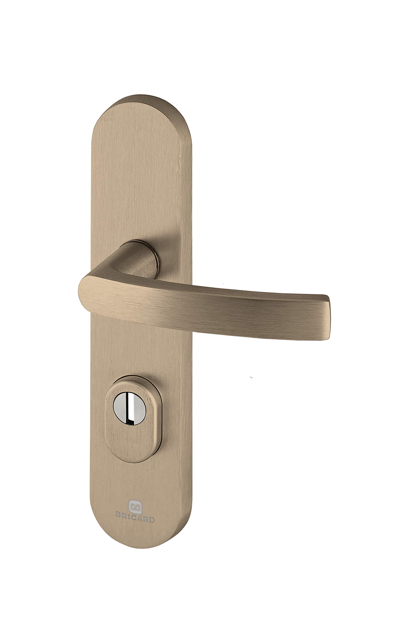 Bricard 9900191 Set of Armoured Handles on Essential Plate and Kickstand for Entrance Door (for European Cylinder), Amber Colour