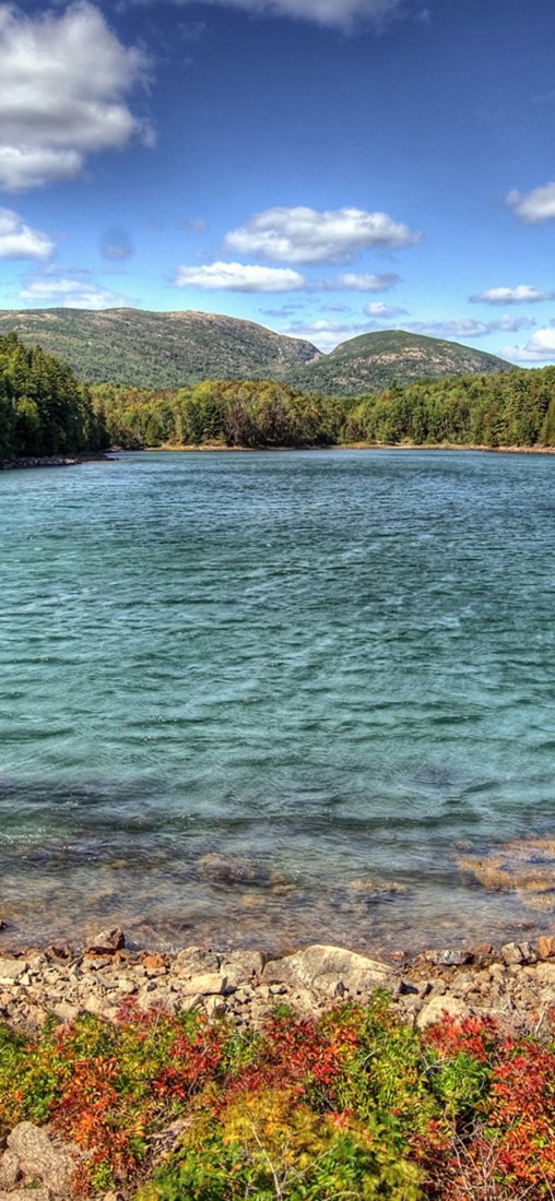 PeelitStickit, Beautiful Nature Wall Murals, ID-3112, vinyl