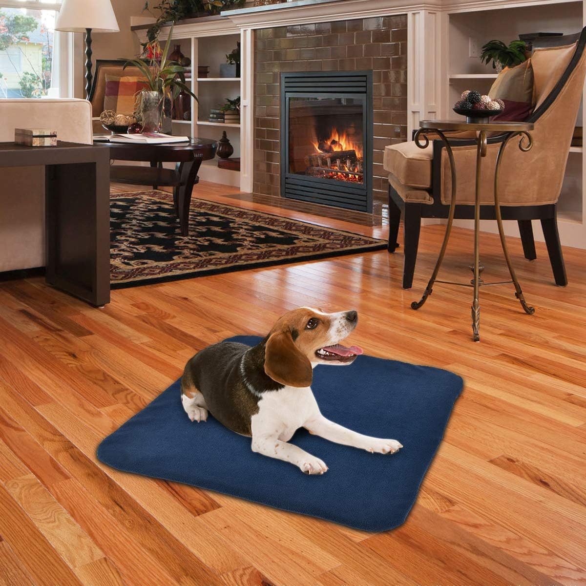 RIOGOO Pet Heating Pad, Electric Heating Pad for Dogs and Cats Indoor Warming Mat with Auto Power Off (M:18" x 18") : Pet Supplies
