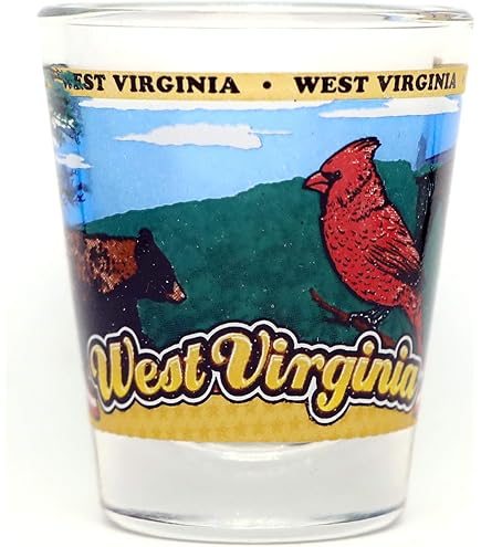 Illinois State Wraparound Shot Glass By World By Shotglass