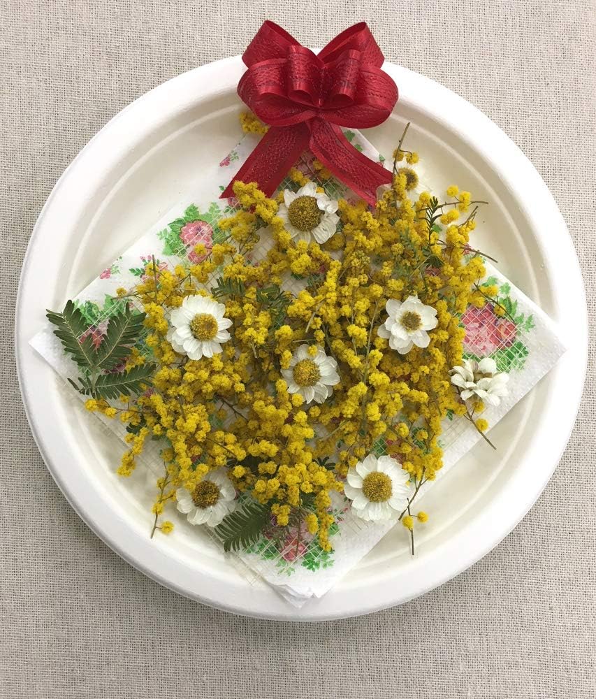Amazon Co Jp お花屋さんのドライフラワー 花かんざし ミモザmix ドライフラワー 花かんざし ミモザ ハーバリウム アクセサリー アロマワックスサシェ作りに最適 家電 カメラ