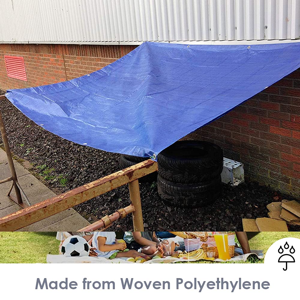 View 5