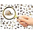 Nail Stickers Decals (5 Sheets) FLONZNAIL Snails Vintage Illustration Nail Décor