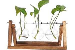 Feitore Desktop Plant Terrariums Glass Planter Bulb Vase Modern Propagation Station Hydroponic Vases with Retro Solid Wooden Stand for Hydroponics Plants Home Garden Wedding Decor (3 Vases)