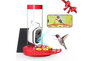 TT Nature Hummingbird Feeder with Camera Solar Powered, AI Identify Cloud Storage Instant Notification, CCPA Data Protection, Outdoor Hanging, Idea Gift for Family Friends (20 Ounces)