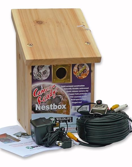 Vogelhaus Nistkasten und Farbkameras