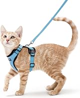 rabbitgoo Cat Harness and Lead Set Adjustable Escape Proof Sky Blue XS