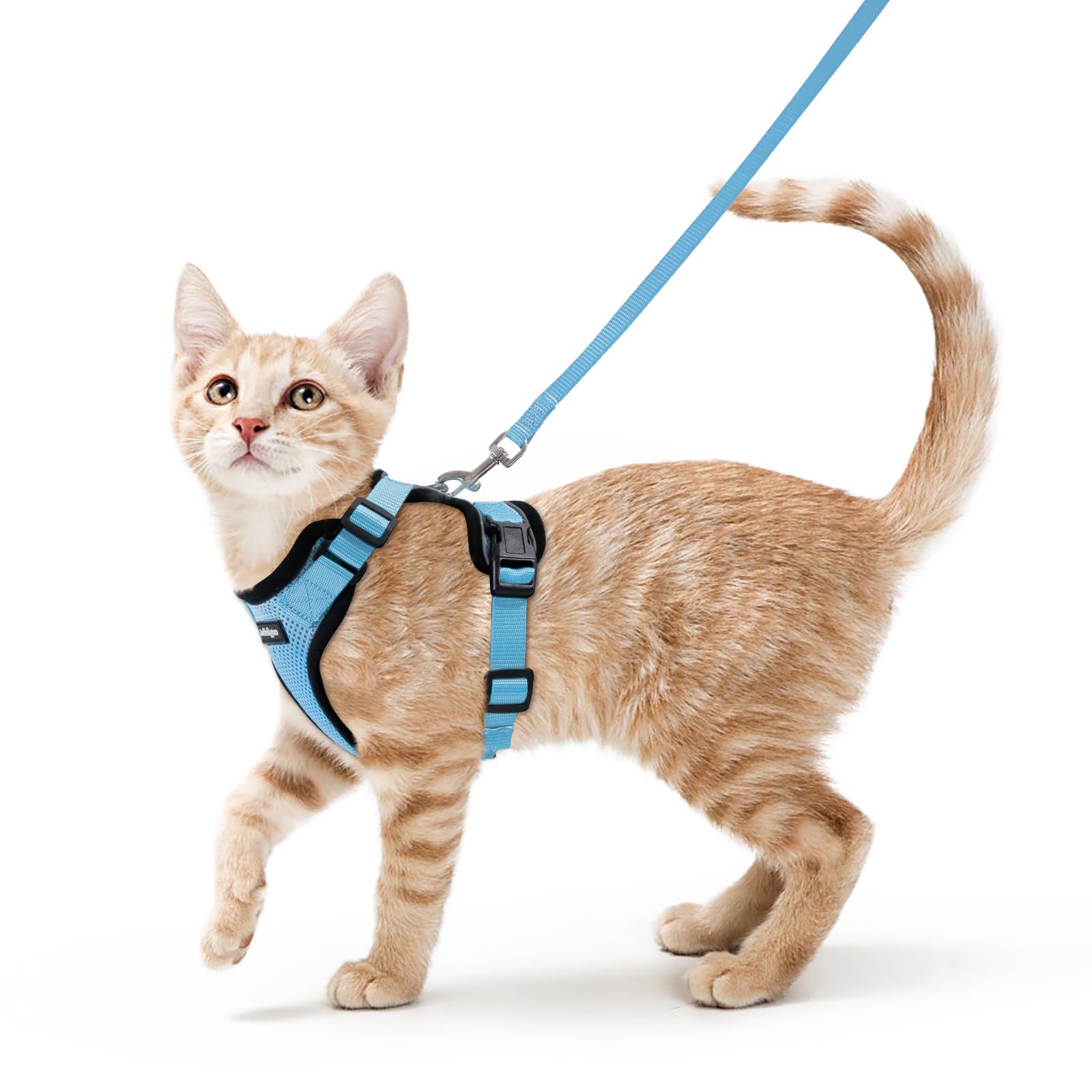 rabbitgoo Cat Harness and Lead Set, Escape Proof Kitten Harness with Leash, Metal Ring, Lightweight Soft, Reflective Adjustable Vest for Small Cat Walking Travel XS (Pack of 1), Sky blue
