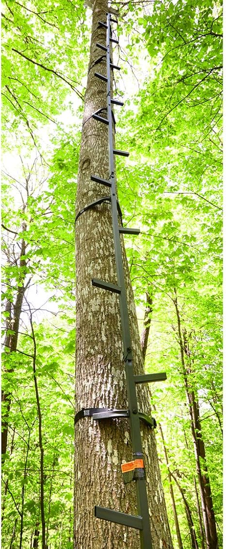 Amazon Com Guide Gear 20 Climbing Sticks Hunting Tree Stands