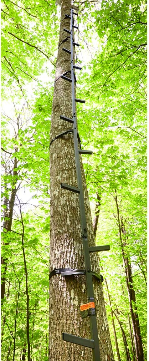 Amazon Com Guide Gear 20 Climbing Sticks Hunting Tree Stands