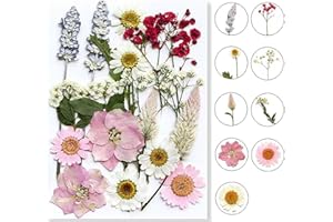 MUCBAFLY Flowers for Resin Model, Real Pressed Flowers Dry Leaves Bulk Natural Herbs Kit for Scrapbooking DIY Art Crafts, Epoxy Jewelry, Candle, Soap Making, Nails Decor (Pink)