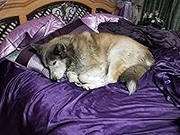 Review Image by Lynn