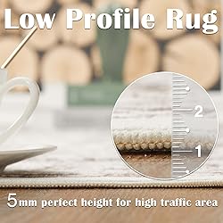 jinchan Area Rug 3x5 Entryway Washable Rug Boho