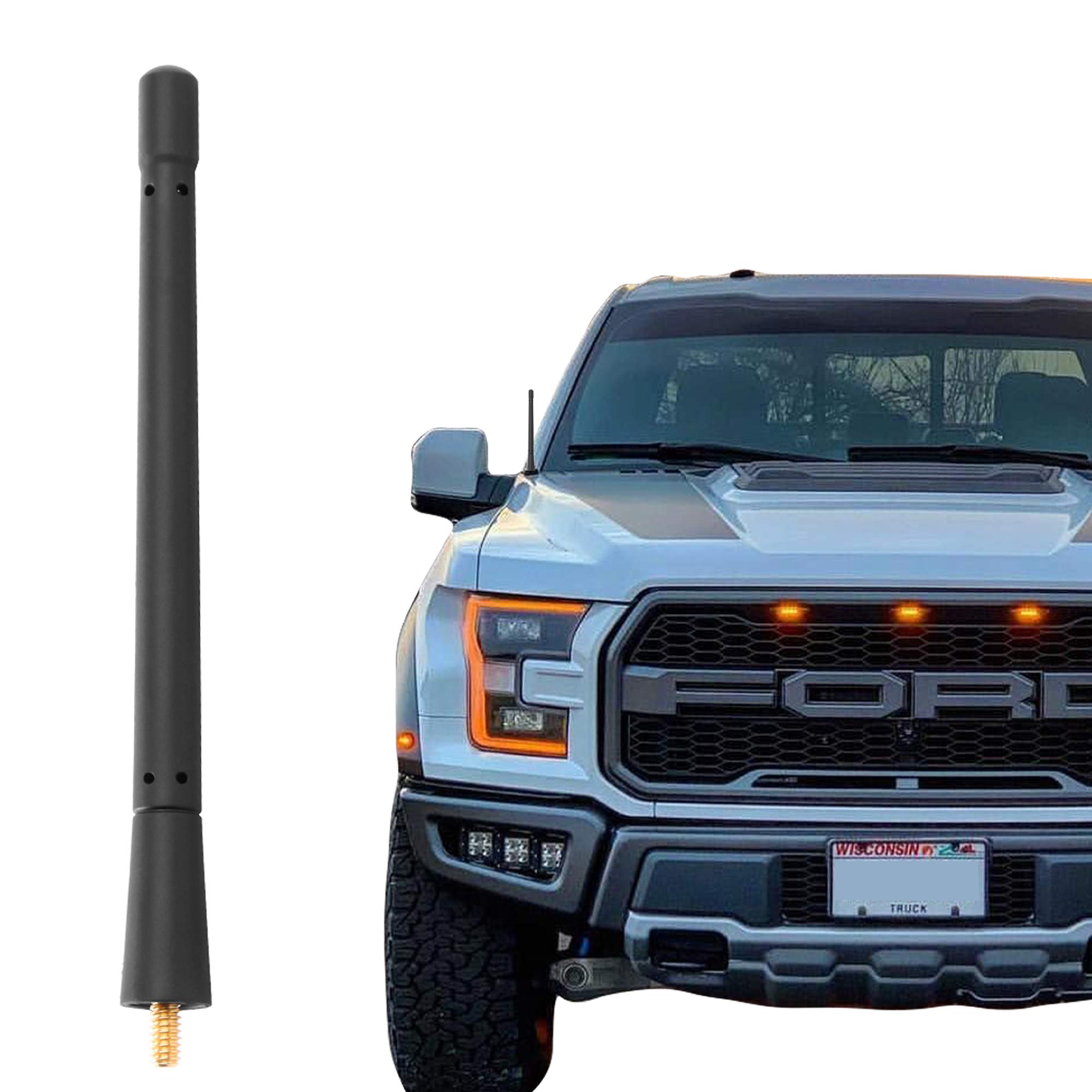 Short Antenna For F150null