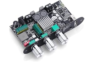 ARRAROWN ZK-1001U Amp Bluetooth 5.3 Mono Amplifier Board with TWS, Mini Audio Amps with Boost for Home Outdoor DIY Speakers with 100W Power Output, Treble and Bass, Supports USB/AUX/BT Input, DC 9-24V