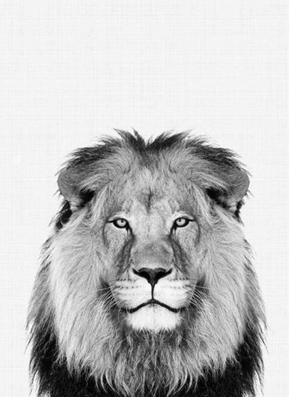 Amazon Co Jp Mkan 動物白黒ポスタープリント ノルディックライオン壁アートキャンバス絵画壁写真 家の装飾のための非フレーム40 60 Cm ホーム キッチン