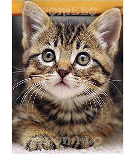 Ginfonr DIY Diamond Painting „Kuh“ – 30x40 Cm, Full Drill, Mit Allem Zubehör – Entspannungs-Bastelset