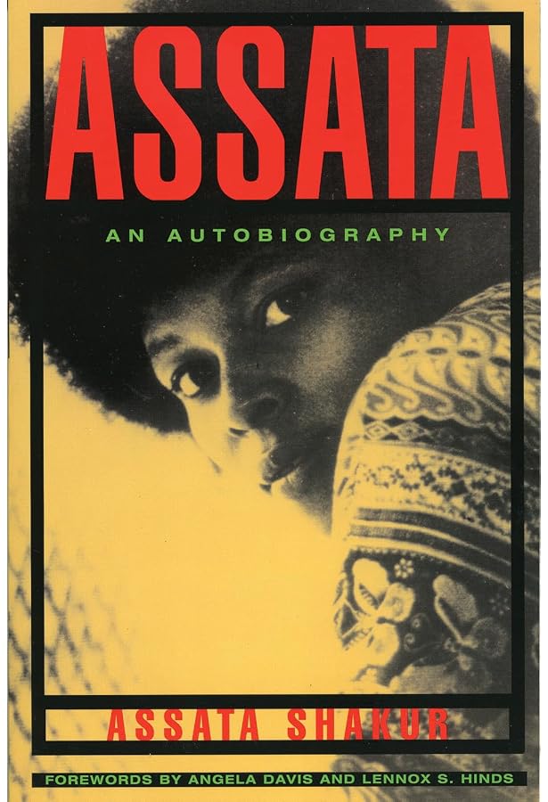 Sister Outsider: Essays and Speeches by Audre Lorde | National Museum