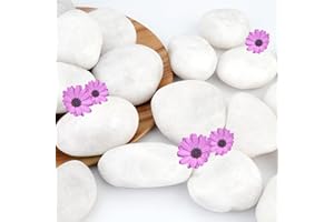 NUPICK 16lb White River Rocks for Outdoor Landscaping, 2-3 Inch Pebbles for Indoor Plants, Natural Polished Aquarium Gravel, 