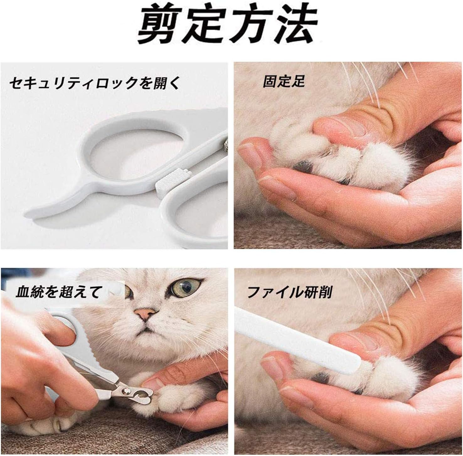 コンプリート ハムスター ネイルの匂い ハムスター ネイルの匂い Potoapixnanthx コンプリート ハムスター ネイルの匂い ハムスター ネイルの匂い Potoapixnanthx