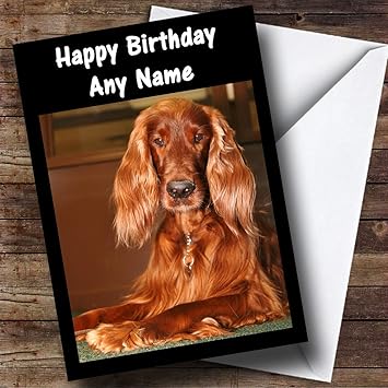 happy birthday irish setter