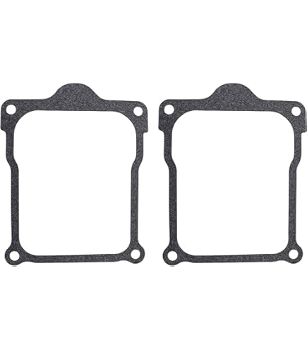 Amazon.com: Briggs & Stratton 809730 Cylinder Head Gasket : Patio