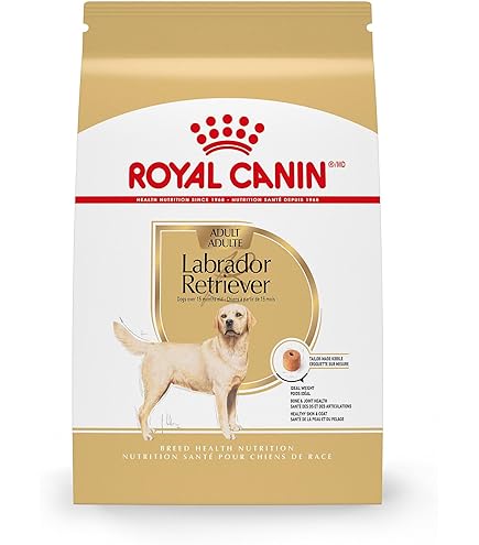 When to Transition a Lab to Adult Dog Food: Essential Timing Tips