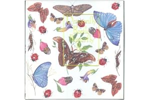 Dragonfly Beetle Butterfly Bee