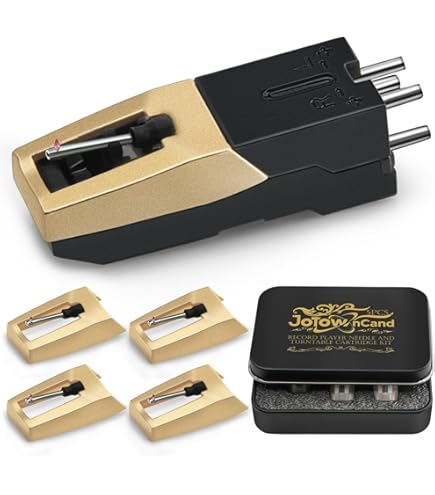 Amazon.com: Durpower Phonograph Record Turntable Needle for Models