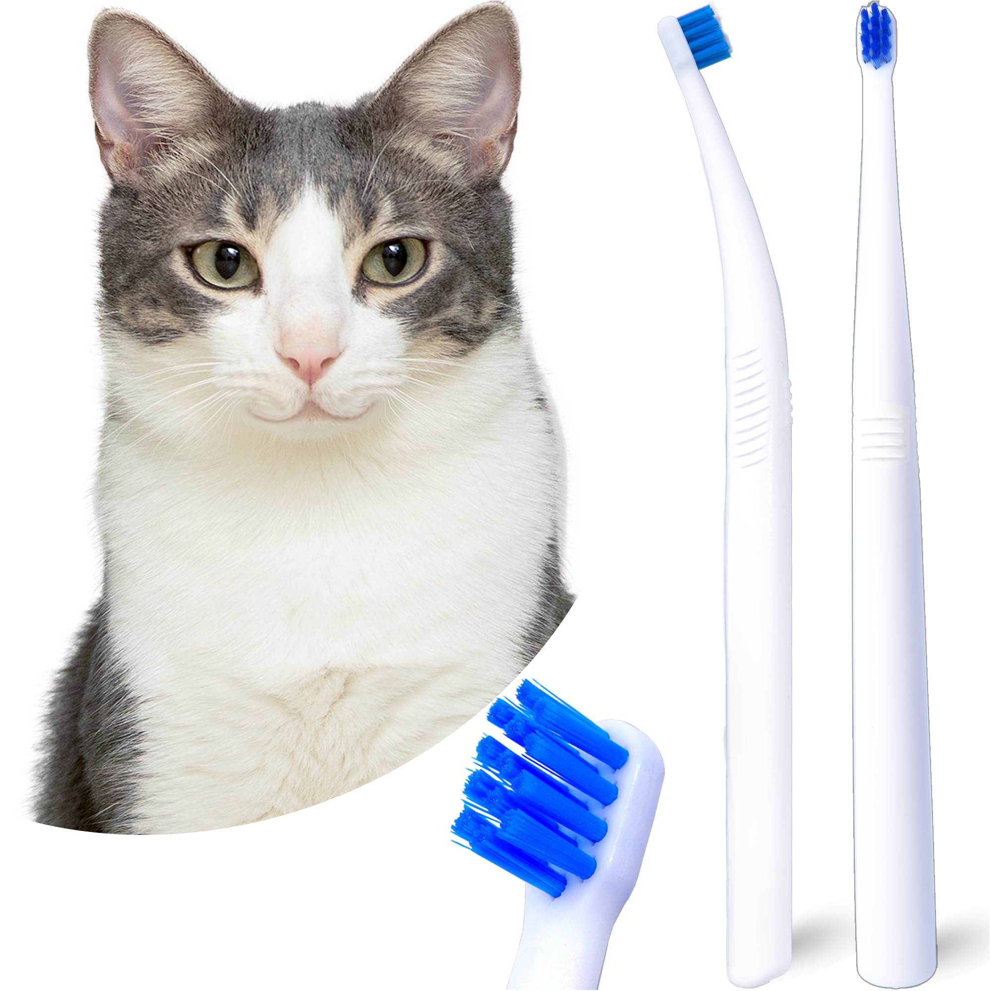Photo 1 of MoonyMars Small Dog Toothbrush, Cat & Puppy Tooth Brushing Kit, Ultra Soft & Mini 15° Curved Head Teeth Brush for Kitten & Tiny Pet, Doggy Toothbrushes Deep Dental Clean, Soft Bristles, 2 PCS - White