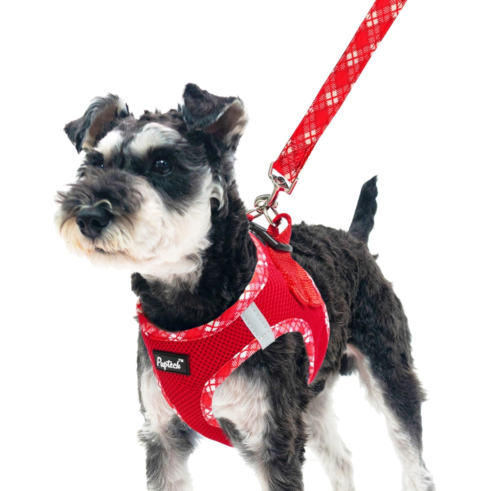Photo 1 of PUPTECK Dog Harness and Leash Set for Small Medium Dogs No Pull Step-in Soft Mesh Puppy Cat Vest Harnesses Reflective at Night, Red, S