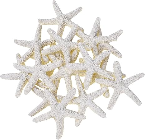 Get Grande decoracao starfish For Free Grande Decoracao Starfish