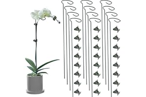 Lunhans 12 Pack Plant Support Stakes with 24 Pcs Plant Clips, Garden Single Stem Support Stake, Plant Cage Support Ring for Indoor Outdoor Flowers Rose Amaryllis Tomatoes Peony Lily Orchid (16 Inch)