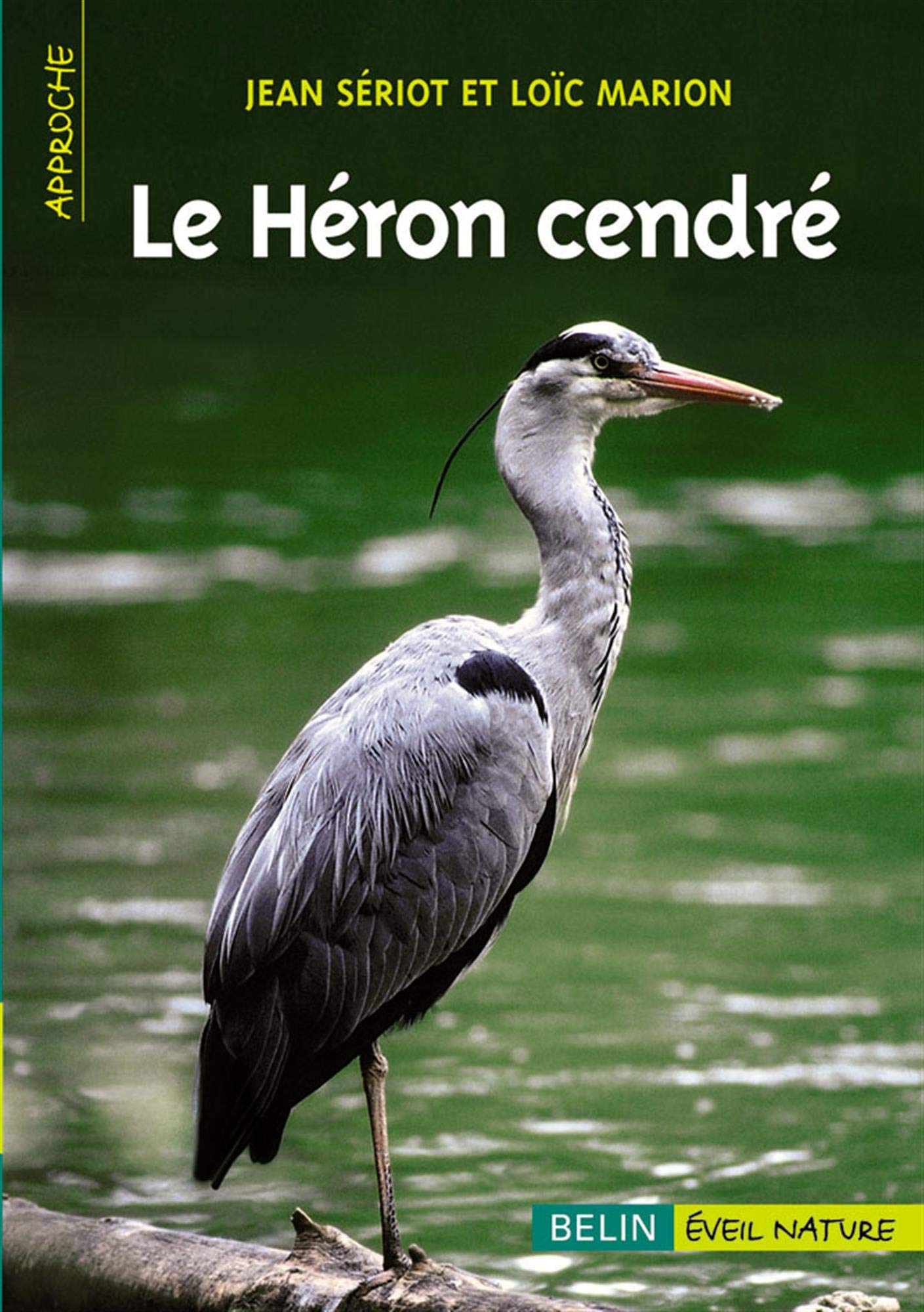 Le Heron Cendre Dorigny Francois Marion Loic Seriot Jean Amazon Fr Livres