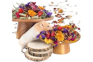 NICERINC PET Natural Ear of Grain Flower&Herb Bedding Mate Habitat Decor, Adding Fun Hamster Accessories for Hamsters Gerbils Lemming